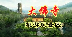 插我逼嗯～啊嗯好舒服视频中国浙江-新昌大佛寺旅游风景区